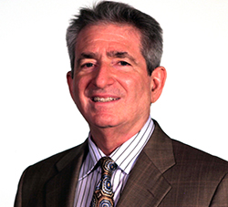 Fred Goldstein Dr. Fred Goldstein